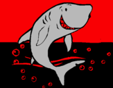 Dibujo Tiburón pintado por pedraso