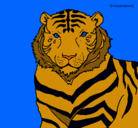 Dibujo Tigre pintado por oxidopaz_4