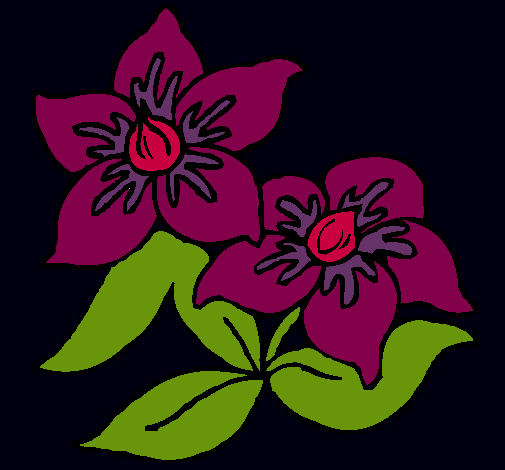 Dibujo Flores pintado por NaRuTa 