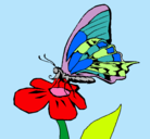 Dibujo Mariposa en flor pintado por nahuatl