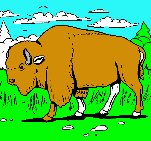 Dibujo Búfalo  pintado por ribero