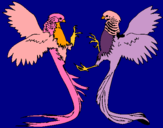 Dibujo Aves con largas colas pintado por WendyMQ