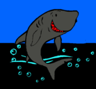 Dibujo Tiburón pintado por erin25
