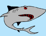 Dibujo Tiburón pintado por LAUTARO28