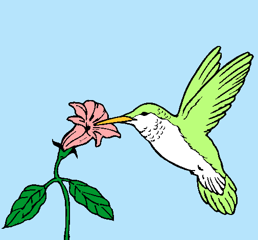 Dibujo Colibrí y una flor pintado por nataliaA