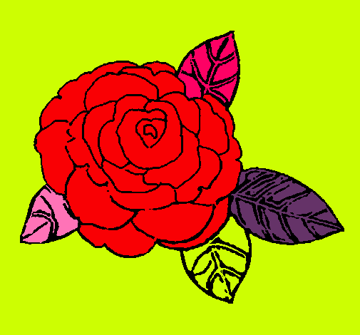 Dibujo Rosa pintado por qwertyuio