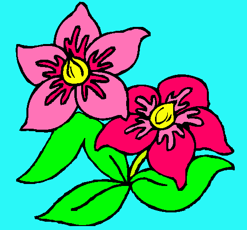 Dibujo Flores pintado por allisson