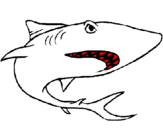 Dibujo Tiburón pintado por dddddddd