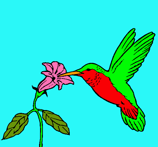 Dibujo Colibrí y una flor pintado por WendyMQ