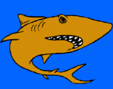 Dibujo Tiburón pintado por klllmn