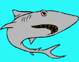 Dibujo Tiburón pintado por botia