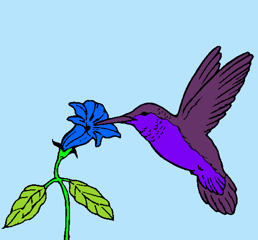 Dibujo Colibrí y una flor pintado por lalota