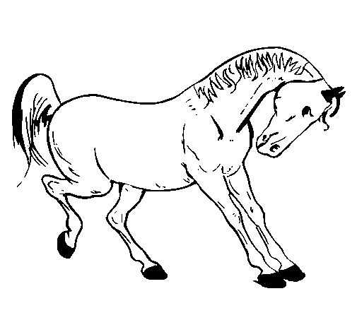 Dibujo Caballo bailando pintado por Crytius