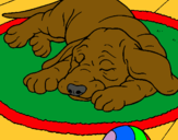 Dibujo Perro durmiendo pintado por matiasdx