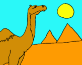 Dibujo Camello pintado por xxxxxxxxxxx
