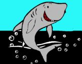 Dibujo Tiburón pintado por fkrkogtfk