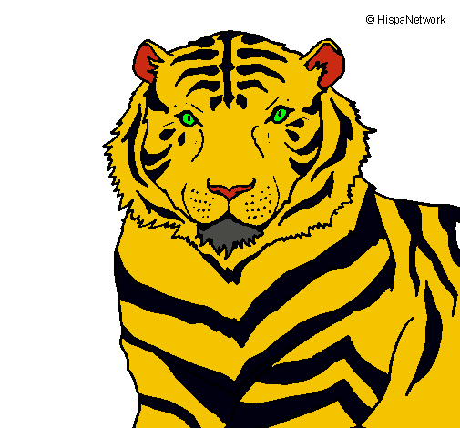 Dibujo Tigre pintado por MatiasIsr