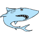 Dibujo Tiburón pintado por ataleo