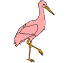 Dibujo Cigüeña pintado por  pelicano