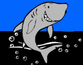 Dibujo Tiburón pintado por thilkjnjnhgb