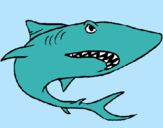 Dibujo Tiburón pintado por tiboron