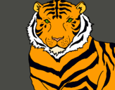 Dibujo Tigre pintado por matiasdx