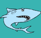 Dibujo Tiburón pintado por renecillo