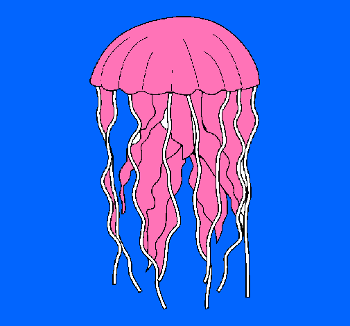 Dibujo Medusa pintado por marquet
