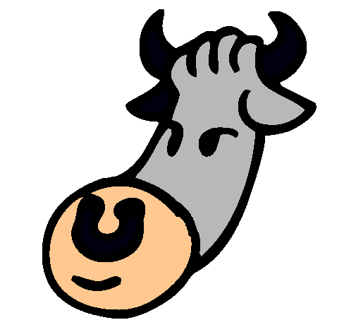 Cabeza de vaca
