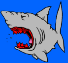Dibujo Tiburón pintado por loko