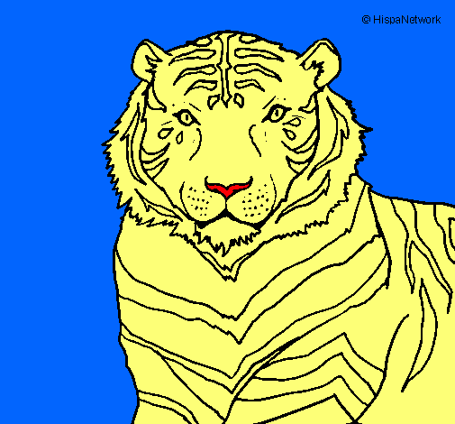 Dibujo Tigre pintado por hellenguin