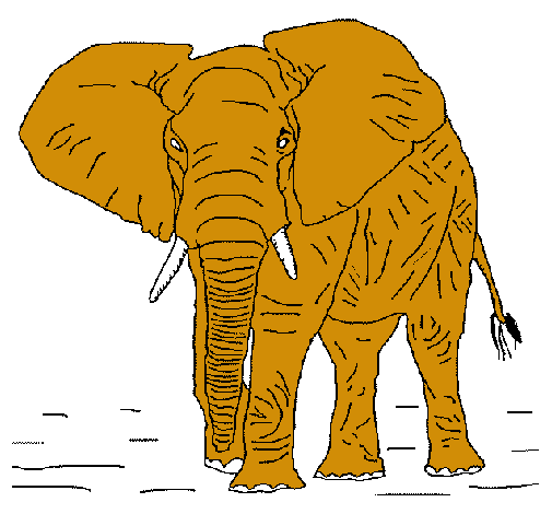 Dibujo Elefante pintado por lcastaing
