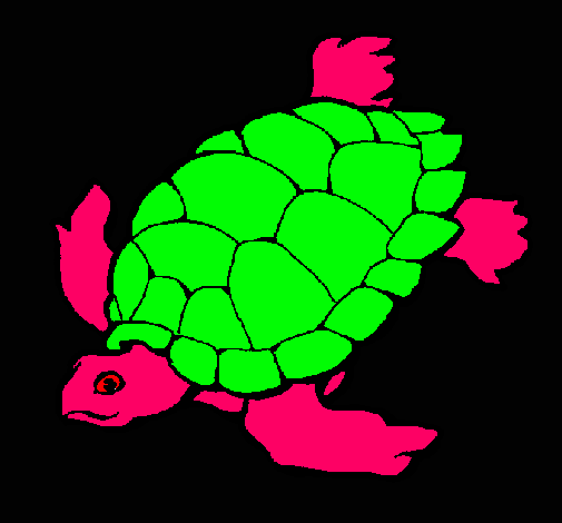 Dibujo Tortuga pintado por lcastaing