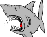 Dibujo Tiburón pintado por polsala