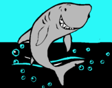 Dibujo Tiburón pintado por polsala