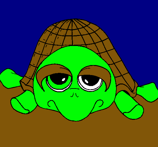 Dibujo Tortuga pintado por loko