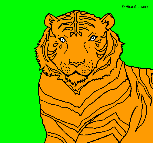 Dibujo Tigre pintado por loko