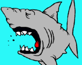 Dibujo Tiburón pintado por brandonjulen