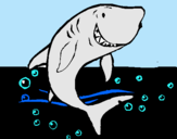 Dibujo Tiburón pintado por SOOFII