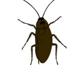 Dibujo Cucaracha grande pintado por dianasara