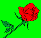 Dibujo Rosa pintado por ceciliamilto