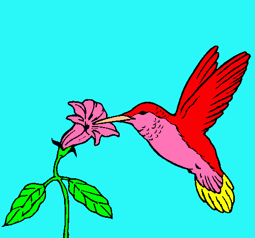 Dibujo Colibrí y una flor pintado por gabireina