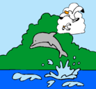 Dibujo Delfín y gaviota pintado por salbemos