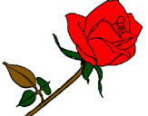 Dibujo Rosa pintado por lupist