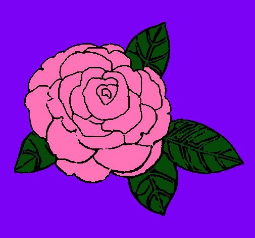 Dibujo Rosa pintado por florangima