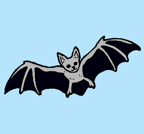 Dibujo Murciélago volando pintado por Dilccy