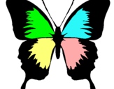 Dibujo Mariposa con alas negras pintado por bustamante