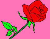 Dibujo Rosa pintado por estefanni