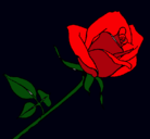 Dibujo Rosa pintado por roseandrose