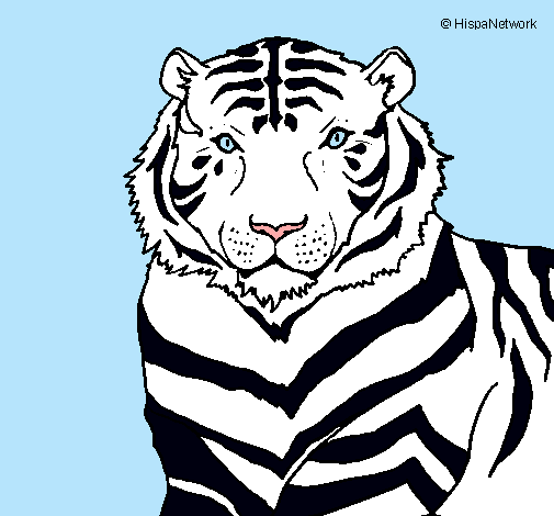 Dibujo Tigre pintado por 69neka69